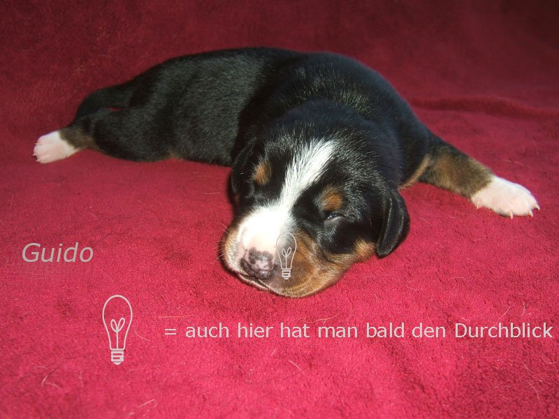 08woche2