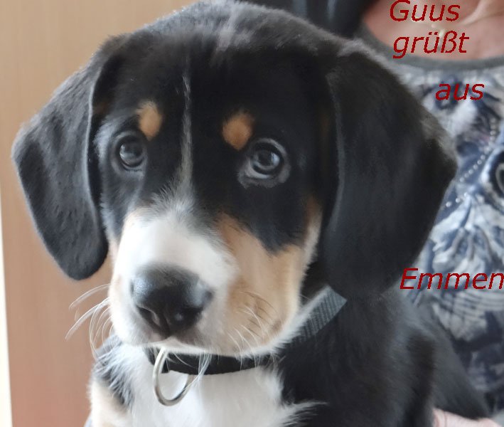 22woche9