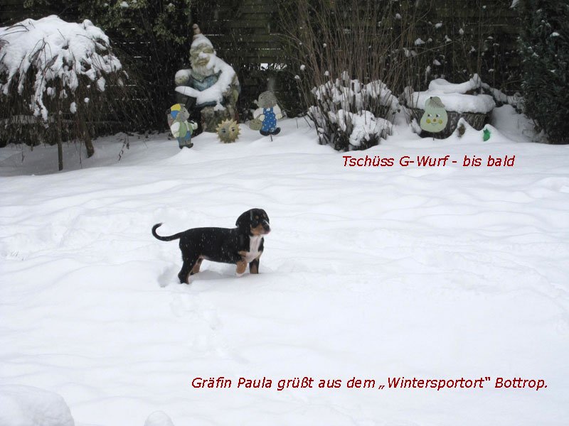 23woche9