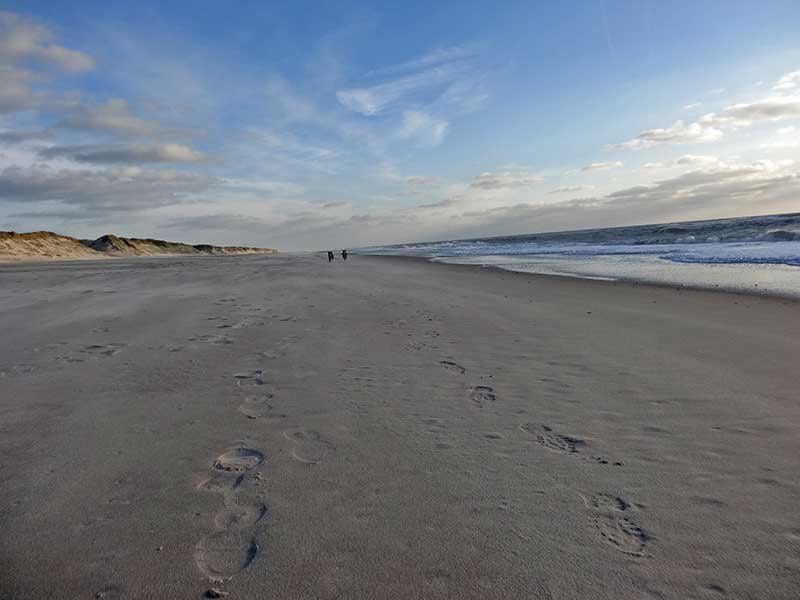 Adele-Frieda Daenemark 2014